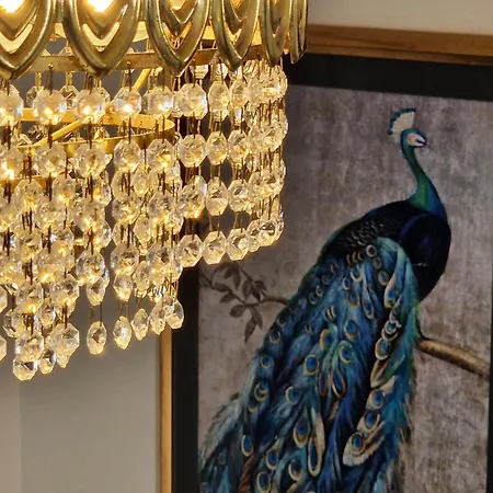Villamara Luxury 招待所