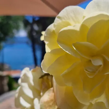 Villamara Luxury Pensionat